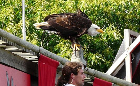 Puy du Fou proche de La Ferme de La Maison Neuve à La Ferrière en Vendée
