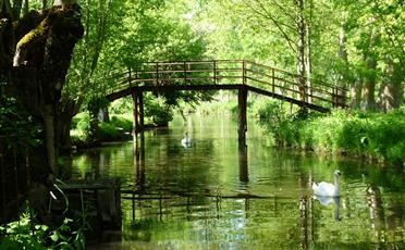Le Marais Poitevin proche de La ferme de La Maison Neuve à La Ferrière en Vendée - Accueil paysan - La Maison Neuve - La Ferrière