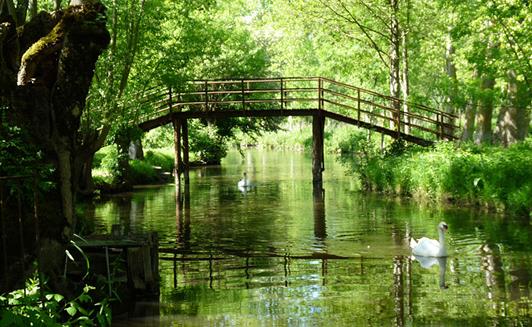 Le Marais Poitevin proche de La ferme de La Maison Neuve à La Ferrière en Vendée