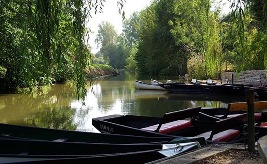 Le Marais Poitevin proche de La ferme de La Maison Neuve à La Ferrière en Vendée