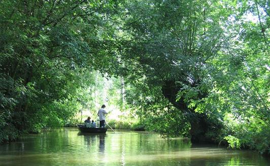 Le Marais Poitevin proche de La ferme de La Maison Neuve à La Ferrière en Vendée