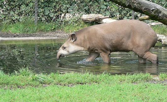 Le Zoo des Sables d'Olonne proche de La Ferme de La Maison Neuve à La Ferrière en Vendée