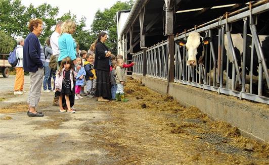 Les animations à la Ferme de La Maison Neuve à La Ferrière en Vendée