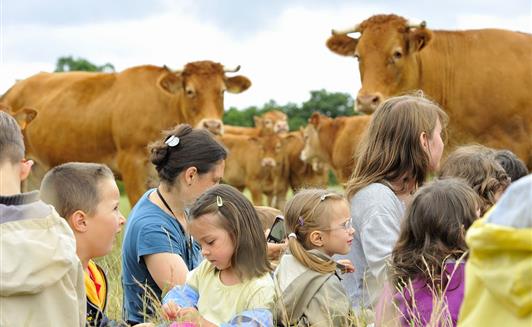 Les animations à la Ferme de La Maison Neuve à La Ferrière en Vendée