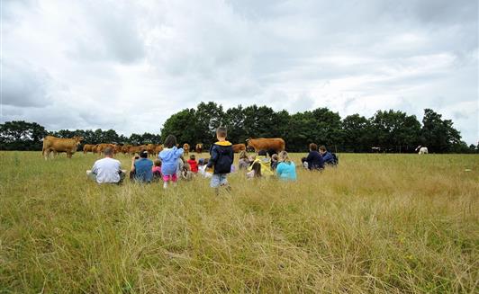 Les animations à la Ferme de La Maison Neuve à La Ferrière en Vendée