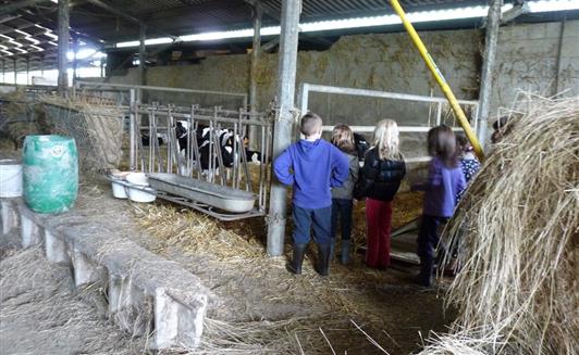 Activités à la ferme de la Maison Neuve à La Ferrière en Vendée