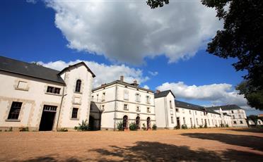 Haras de La Roche sur Yon proche de la ferme de la Maison Neuve à la Ferrière en Vendée - Accueil paysan - La Maison Neuve - La Ferrière
