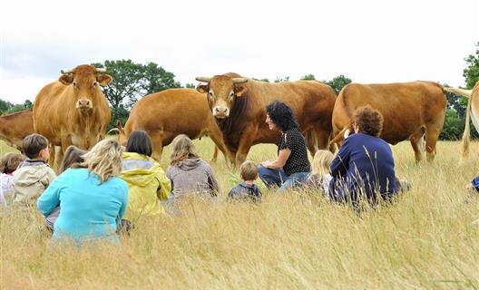 La Ferme de La Maison Neuve à La Ferrière en Vendée - Accueil paysan - La Maison Neuve - La Ferrière