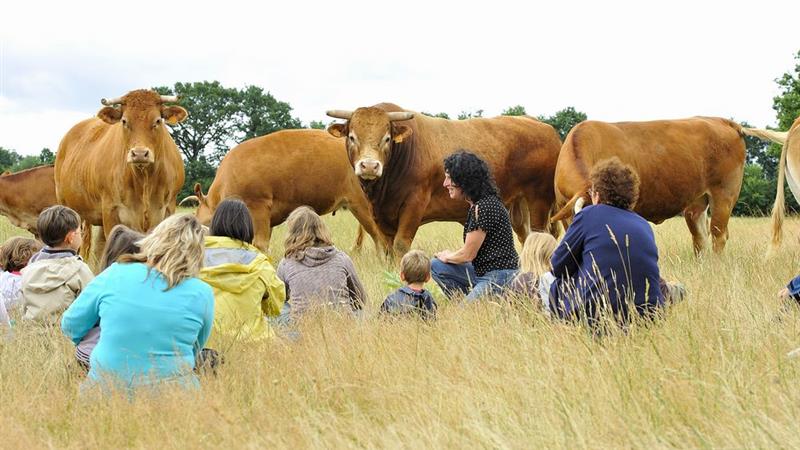 La Ferme de La Maison Neuve à La Ferrière en Vendée - Accueil paysan - La Maison Neuve - La Ferrière